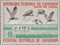 Black Crowned Cranes (Balearica pavonina) at Waza Camp