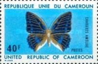 Blue-spotted Charaxes (Charaxes ameliae)