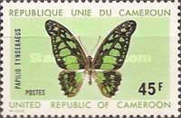 Electric Green Swordtail (Papilio tynderaeus)
