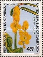 Candlestick cassia