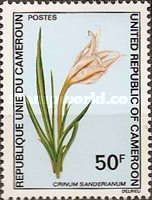 Amaryllis