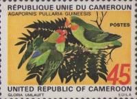 Red-headed Lovebird (Agapornis pullaria guineensis)