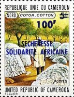 Cotton - Surcharged