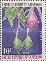 Avocados