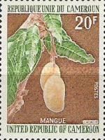 Mangos
