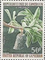 Corossol or Custard Apple (Anona squamosa)