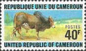 Zebu (Bos primigenius indicus)