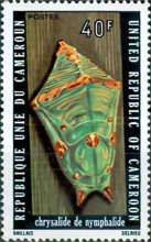 Chrysalis of Nymphalidae
