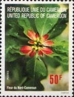 Flower of North Cameroon