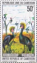 Black Crowned Crane (Balearica pavonina)