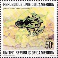 Equatorial Guinea Long-fingered Frog (Cardioglossa escalerae