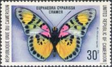 True Forester (Euphaedra cyparissa)