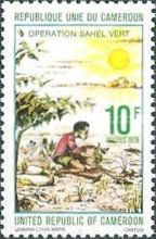 Man Planting Seedlings