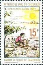 Man Planting Seedlings