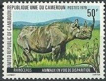 Black Rhinoceros (Diceros bicornis)