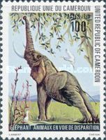 African Elephant (Loxodonta africana)
