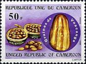 Voacanga medicinal beans