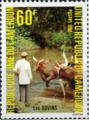 Cattle (Bos primigenius taurus)