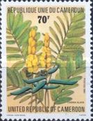 Cassia alata