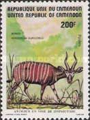 Bongo (Boocercus eurycerus)