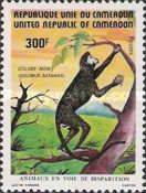 Black Colobus (Colobus satanas)