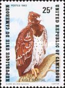 Martial Eagle (Polemaetus bellicosus)