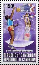Volleyball