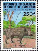 Common Warthog (Phacochoerus africanus)