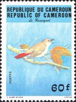 Common Nightingale (Luscinia megarhynchos)
