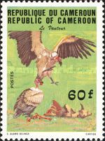 Rüppel's Vulture (Gyps rueppelii)