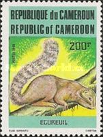 Gambian Sun Squirrel (Heliosciurus gambianus)