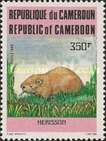 Greater Cane Rat (Thryonomys swinderianus)