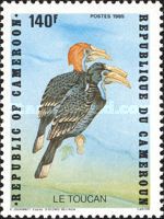 Black-casqued Hornbill (Ceratogymna atrata)