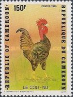 Rooster (Gallus gallus domesticus)