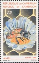Honeybee