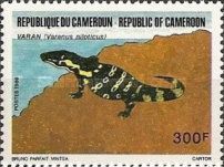 Nile Monitor (Varanus niloticus)