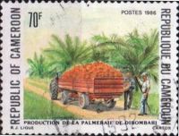 Coconut Farming, Didombari