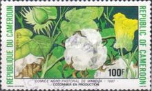 Cotton