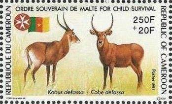 Defassa Waterbuck (Kobus defassa)