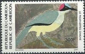 Grey-necked Rockfowl (Picathartes oreas)