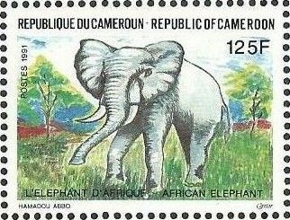 African Elephant (Loxodonta africana)