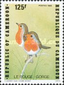 European Robin (Erithacus rubecula)