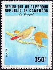 Common Nightingale (Luscinia megarhynchos)
