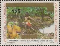 Treating Cacao Plants overprint