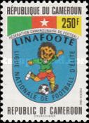 Cameroun Football