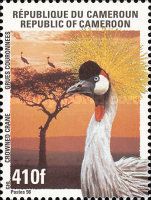 Grey Crowned Crane (Balearica regulorum)
