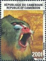 Baboon / Mandrill (Mandrillus sphinx)