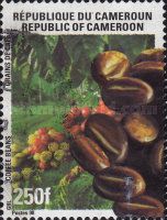 Coffee Beans (Coffea arabica)