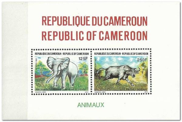 African Elephant (Loxodonta africana), African Buffalo (Sync