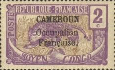 Leopard (Panthera pardus) overprint